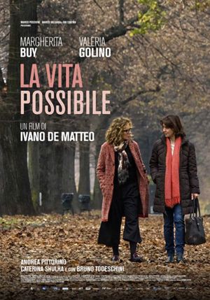 La vita possibile's poster