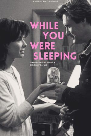 While You Were Sleeping's poster