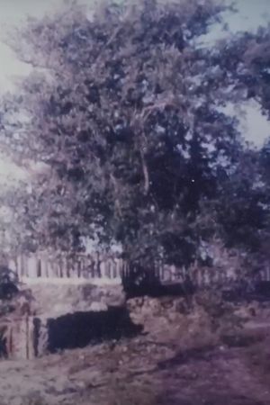 Two Women and the Rock Garden's poster