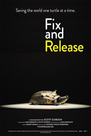 Fix and Release's poster image