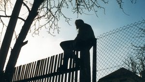 Across the Border: Five Views from Neighbours's poster