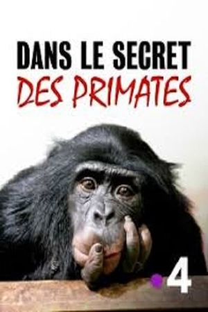 Dans le secret des primates's poster