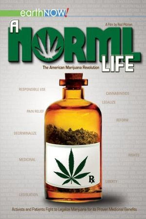 A Norml Life's poster