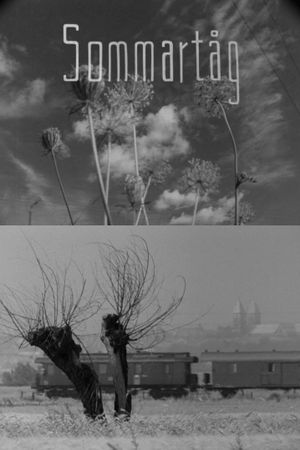 Summer Day's poster