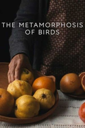 The Metamorphosis of Birds's poster