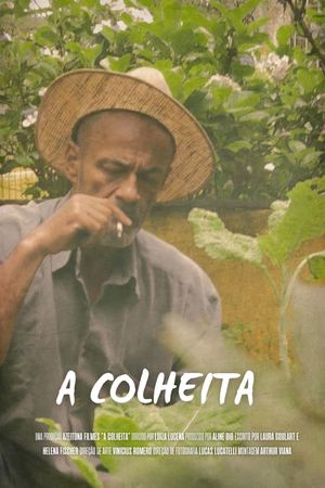 A Colheita's poster image