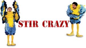 Stir Crazy's poster