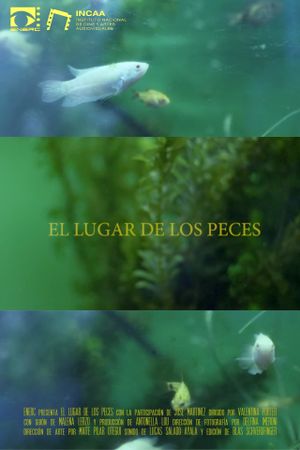 El Lugar de los Peces's poster