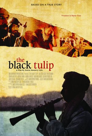 The Black Tulip's poster