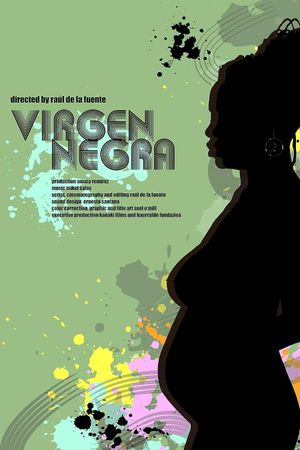 Virgen negra's poster