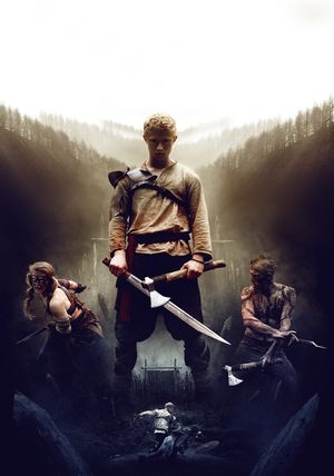 The Lost Viking's poster