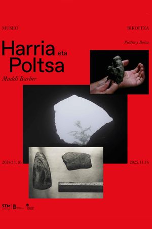 Stone and bag's poster