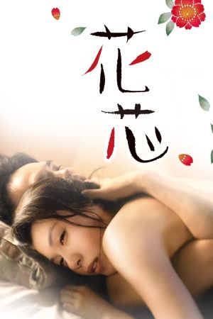Kashin's poster