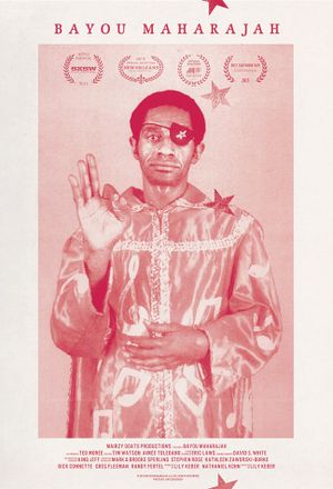 Bayou Maharajah's poster image