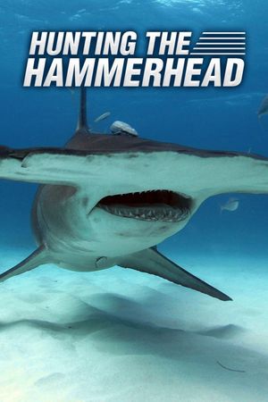 Hunting the Hammerhead's poster