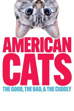 American Cats: The Good, the Bad, and the Cuddly's poster