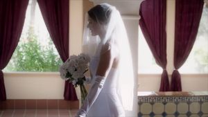 A Bride's Revenge's poster