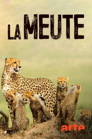 Die fünf Geparde - Gemeinsam durch die Serengeti's poster