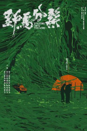 Striding Into the Wind's poster