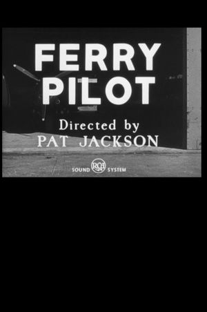 Ferry Pilot's poster image