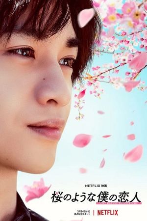Love Like the Falling Petals's poster