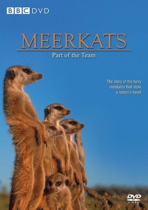 Meerkats: Part of the Team's poster