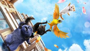 Cats's poster