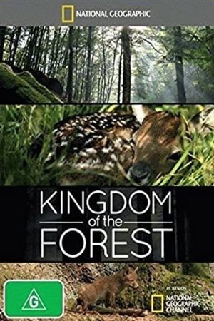 Kingdom of the Forest's poster