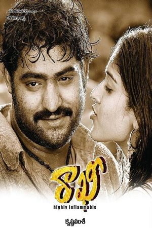 Rakhi: Highly Inflammable's poster