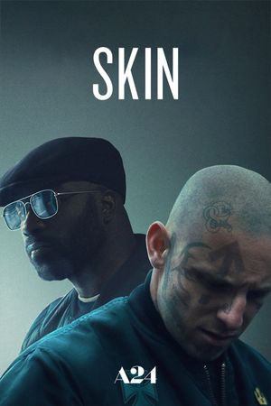 Skin's poster