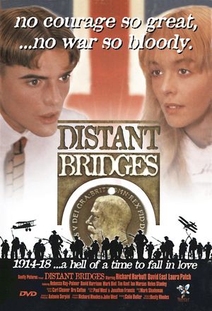 Distant Bridges's poster