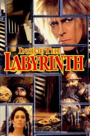 Inside the Labyrinth's poster image