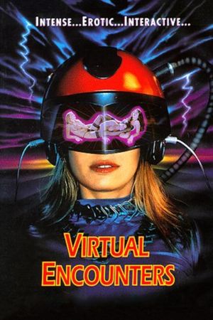 Virtual Encounters's poster