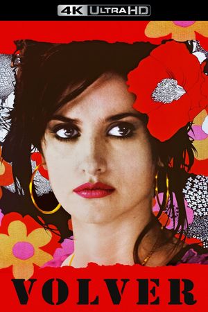 Volver's poster