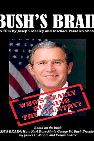 Bush's Brain's poster