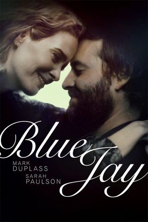 Blue Jay's poster