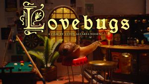 Lovebugs's poster