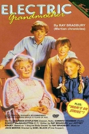 The Electric Grandmother's poster