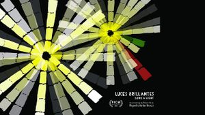Shine a Light's poster