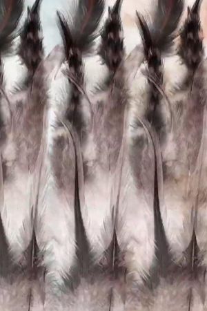 The Anatomy of a Feather's poster