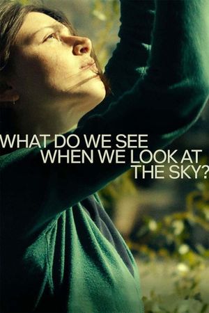 What Do We See When We Look at the Sky?'s poster