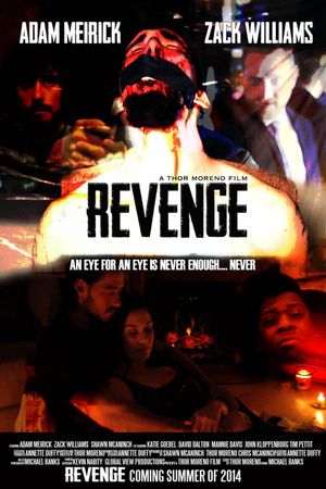 Revenge: A Love Story's poster