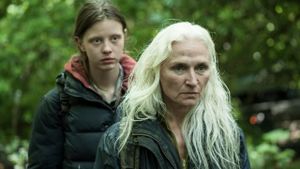 The Survivalist's poster