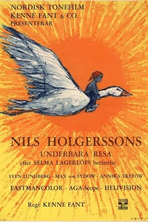 Wonderful Adventures of Nils's poster