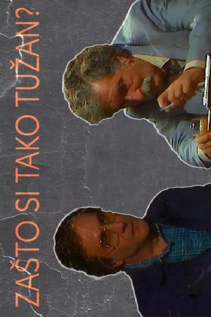 Why Are You So Sad?'s poster image