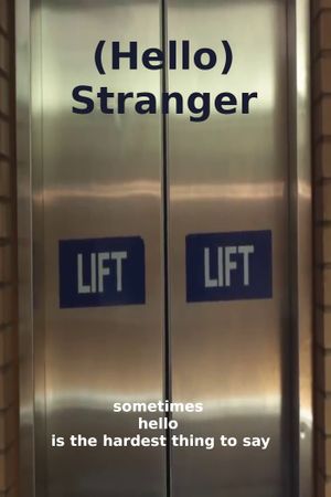 (Hello) Stranger's poster