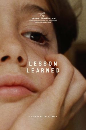 Lesson Learned's poster