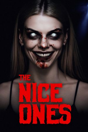 The Nice Ones's poster