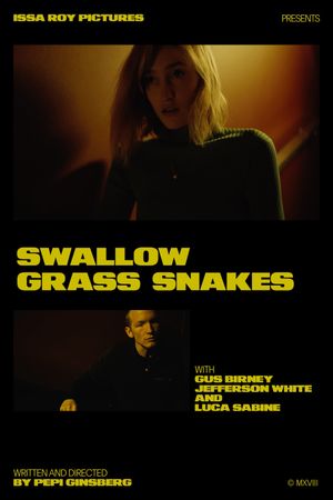 Swallow Grass Snakes's poster