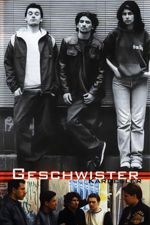 Brothers and Sisters's poster
